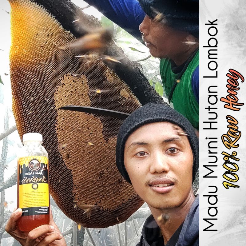 Jual Madu Asli Murni Madu Hutan Liar Raw Honey Ml Madu