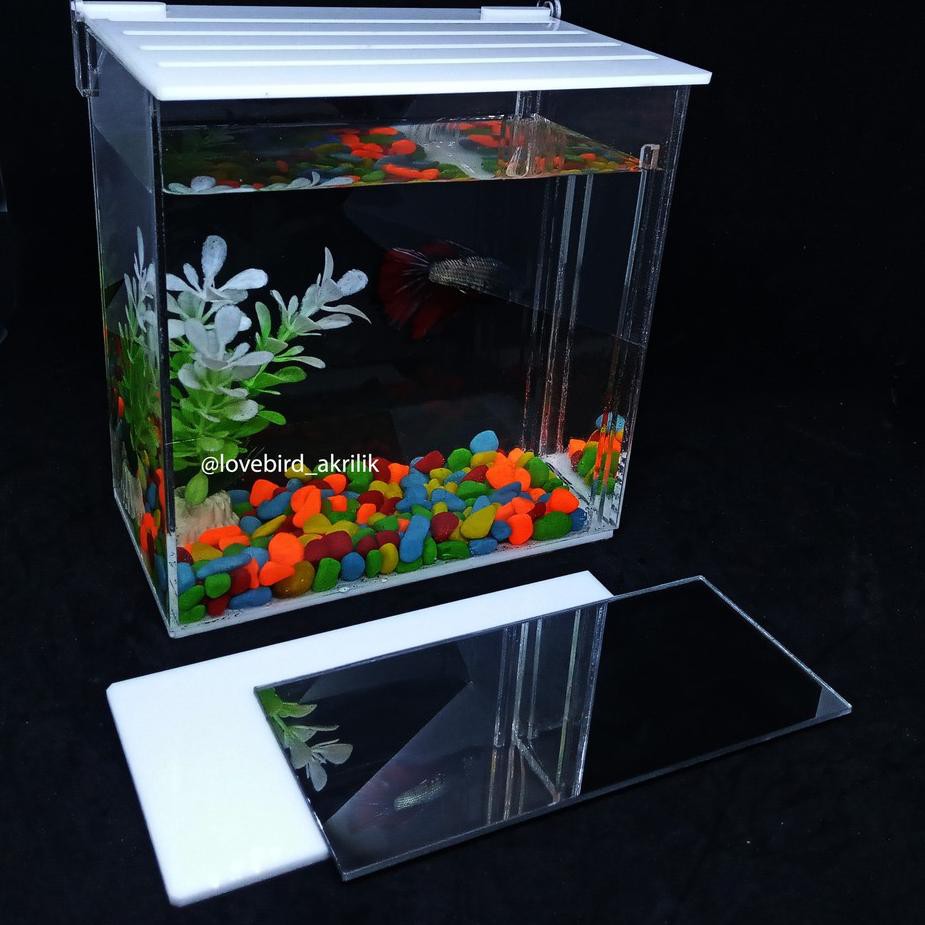 Xdv 645 Aquarium Ikan Cupang Aquarium Mini Akrilik Betta Fish