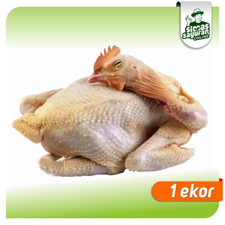 

Ayam Kampung Besar 0,8-1 kg