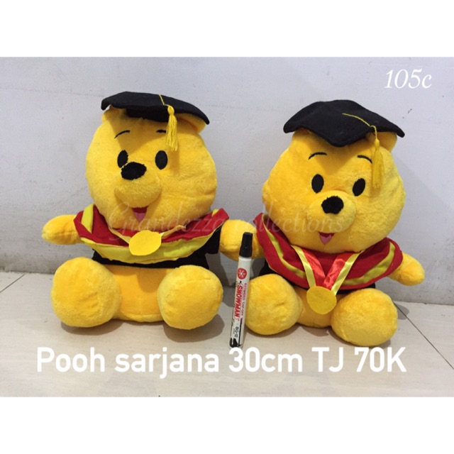 

POOH SARJANA 30CM TJ