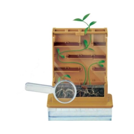 Emco Kids Science Grow Mazine Mainan Science Anak Menanam Tanaman Bunga Labirin Mainan Sains