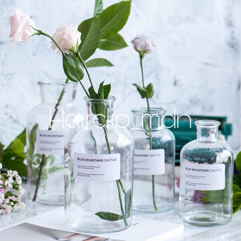 Vas Kaca Bunga dan Diffuser Aesthetic Bening