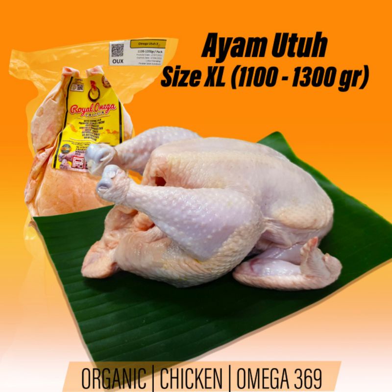 

Ayam Omega Utuh Size XL (1100-1300gr)