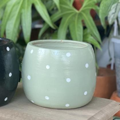➾ Pot gerabah terakota tanah liat polkadot D13.5 - Hijau ➩