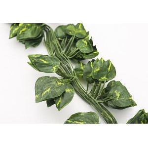 Dijual DAUN RAMBAT UBI JALAR PLASTIK KECIL Murah