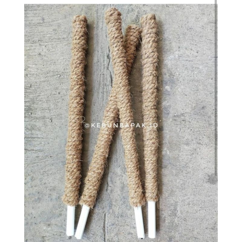 Turus/Penyangga tanaman/Penyangga tanaman rambat