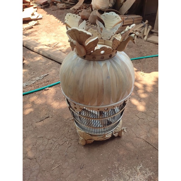 sangkar kutut kayu jati, kandang burung perkutut