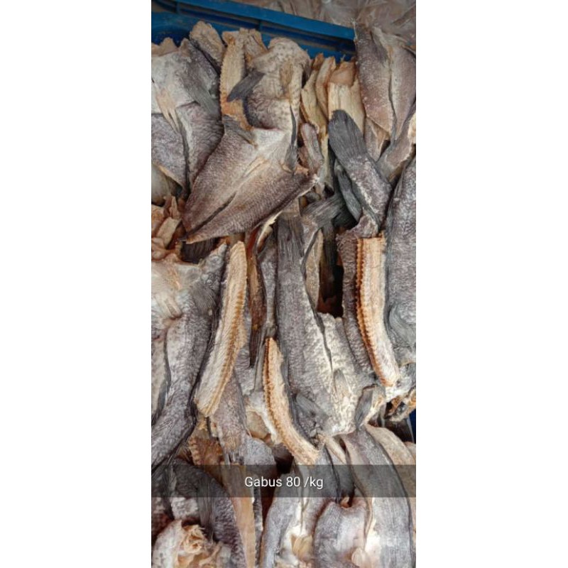 

IKAN GABUS SUPER