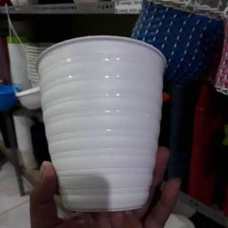  Pot  Madu Turus Ukuran  10 s d15 cm Tinggi Mirip Pot  