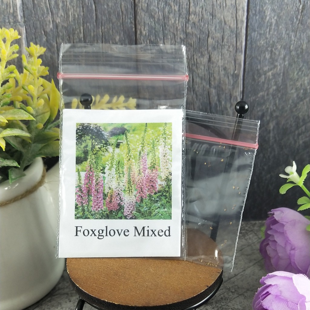 [Best Selling] 40 Seeds - Foxglove Mixed Flower Haira Seed Biji Benih Bunga - SR0098