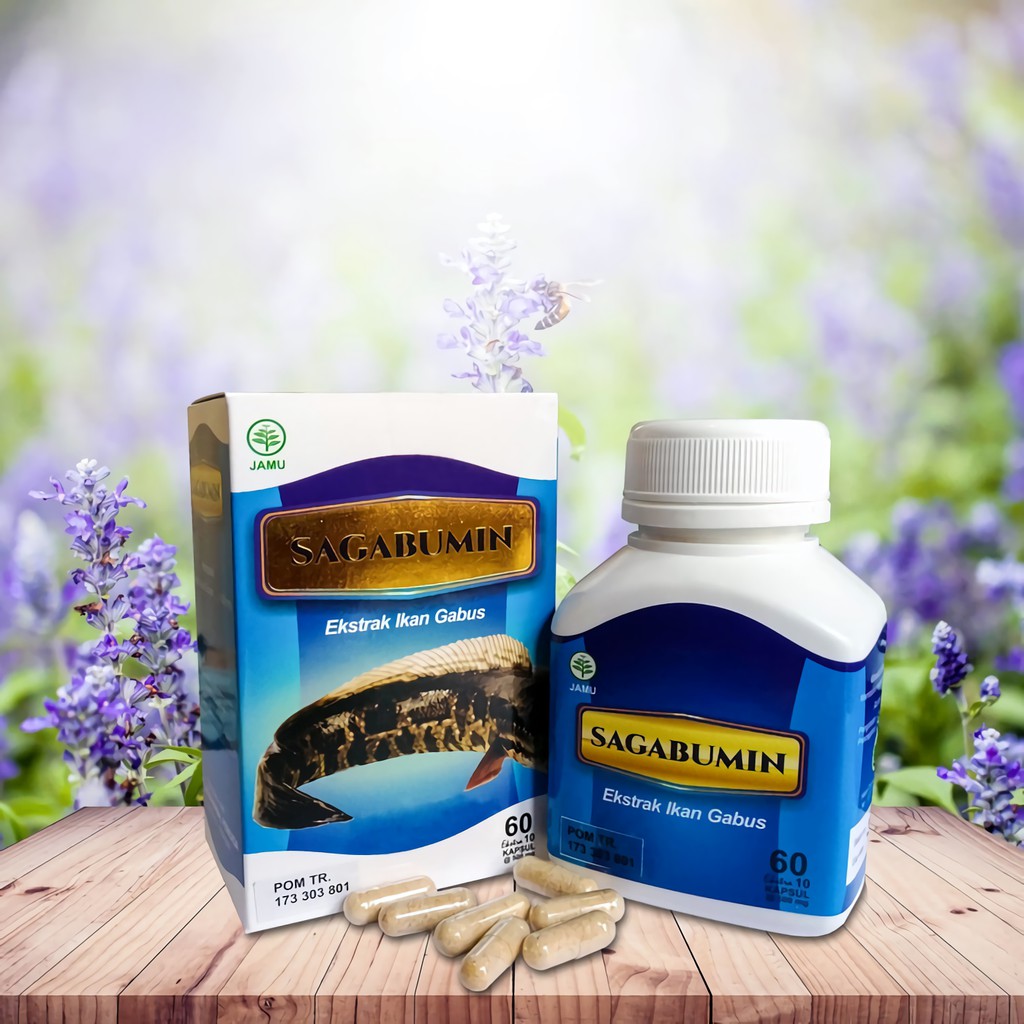 Kapsul Albumin Ekstrak ikan Gabus / Kutuk ( Protein ) Original