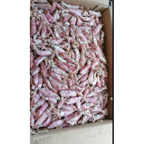 

cumi asin ukuran sedang