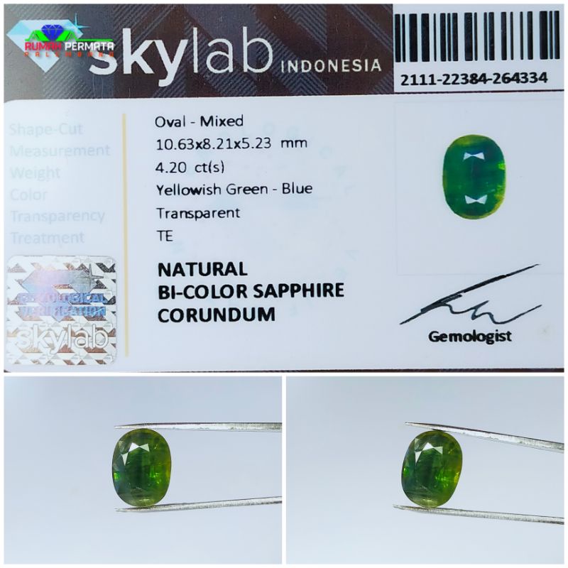 Batu Permata Bi-Color Sapphire Natural Asli Original Bersertifikat