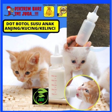 Botol susu Kucing Dot susu Kucing Dot Anjing / PAKET Kitten Wadah Minum Kucing Murah
