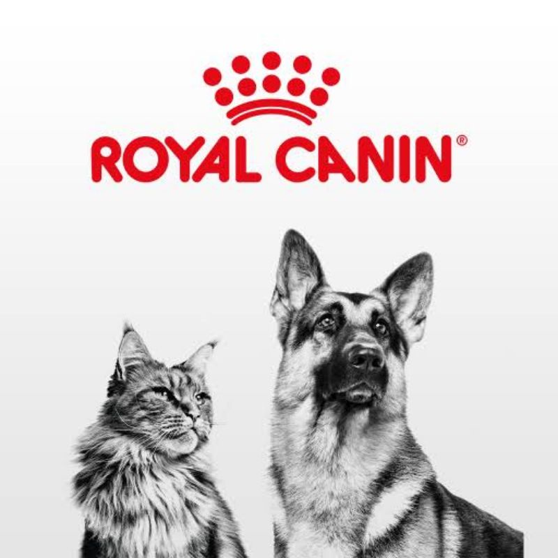 Royal Canin Cat Hair Skin/Kitten/Kitten Persia/Mother Baby Cat/ Adult Persi Fresh Pack 400 gr