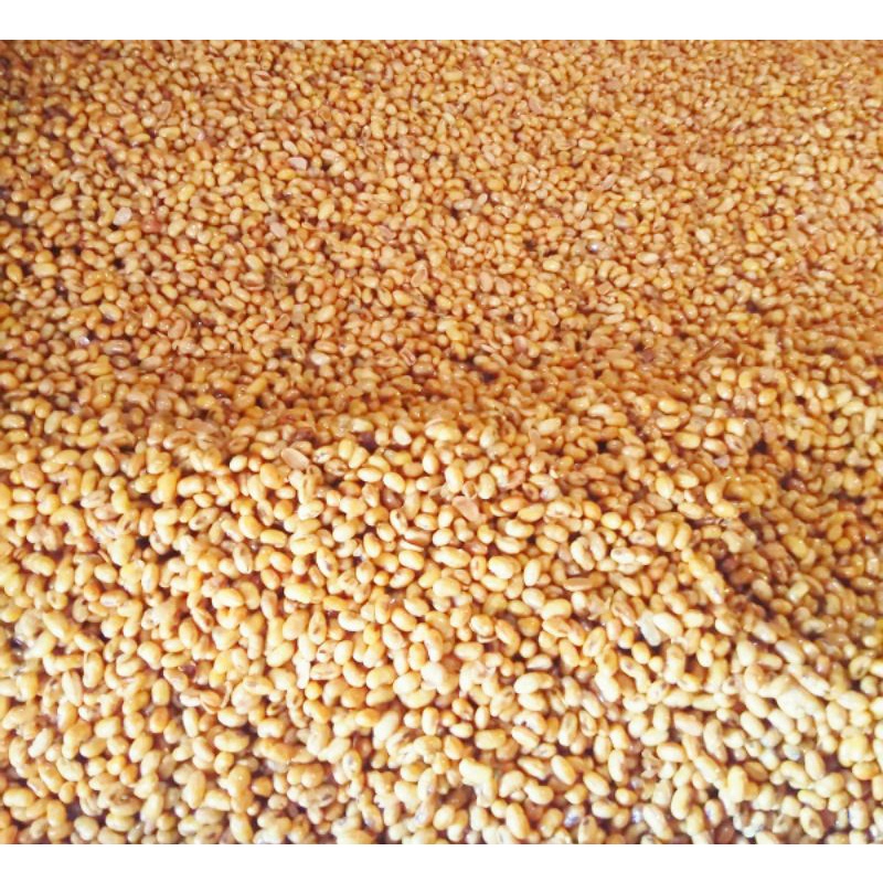 

KEDELE GORENG ENAK GURIH MURAH GROSIR 100gr 250gr 500gr 750gr 1kg