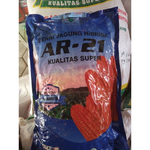 benih jagung hibrida AR- 21 kualitas super kemasan 5 kg