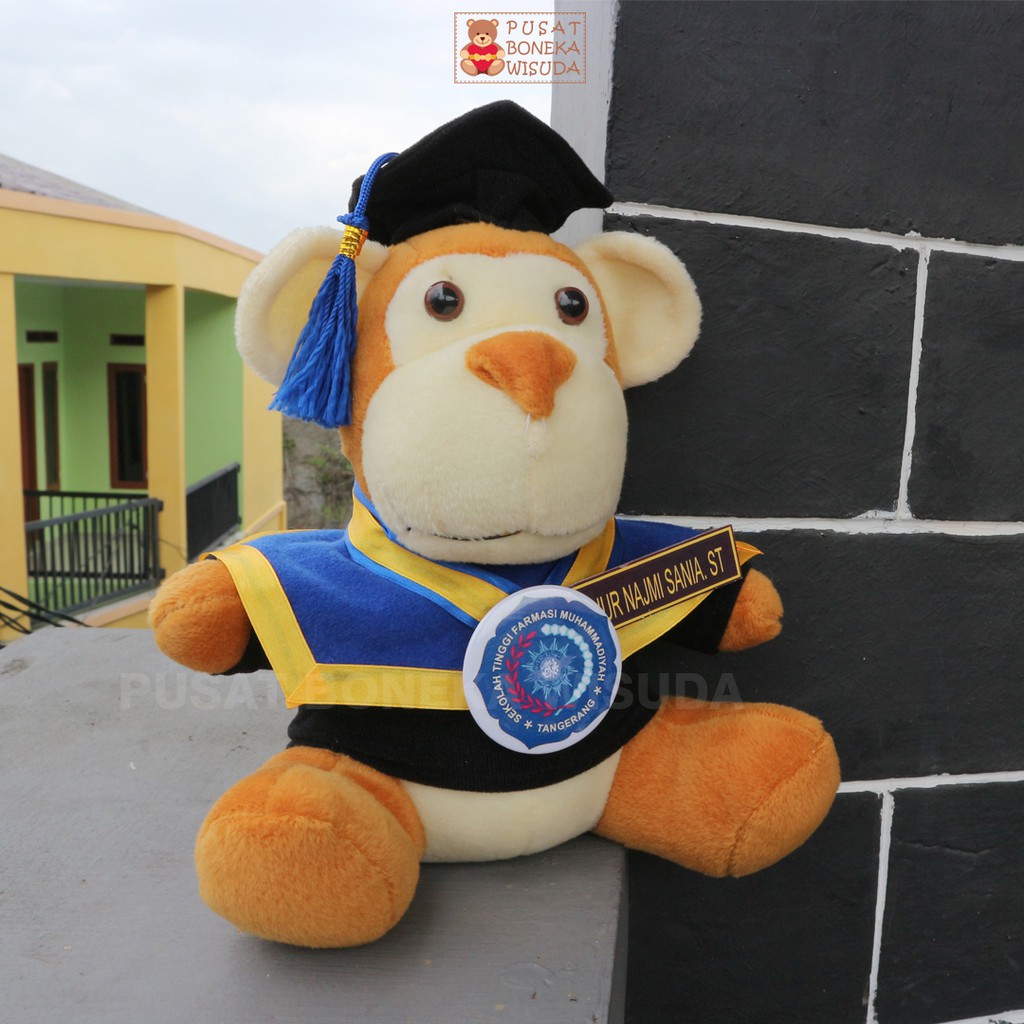 Boneka Wisuda Monkey Pria Cowo Cute Monyet Kera Kado Wisuda Hadiah Sidang skripsi Murah Laki laki