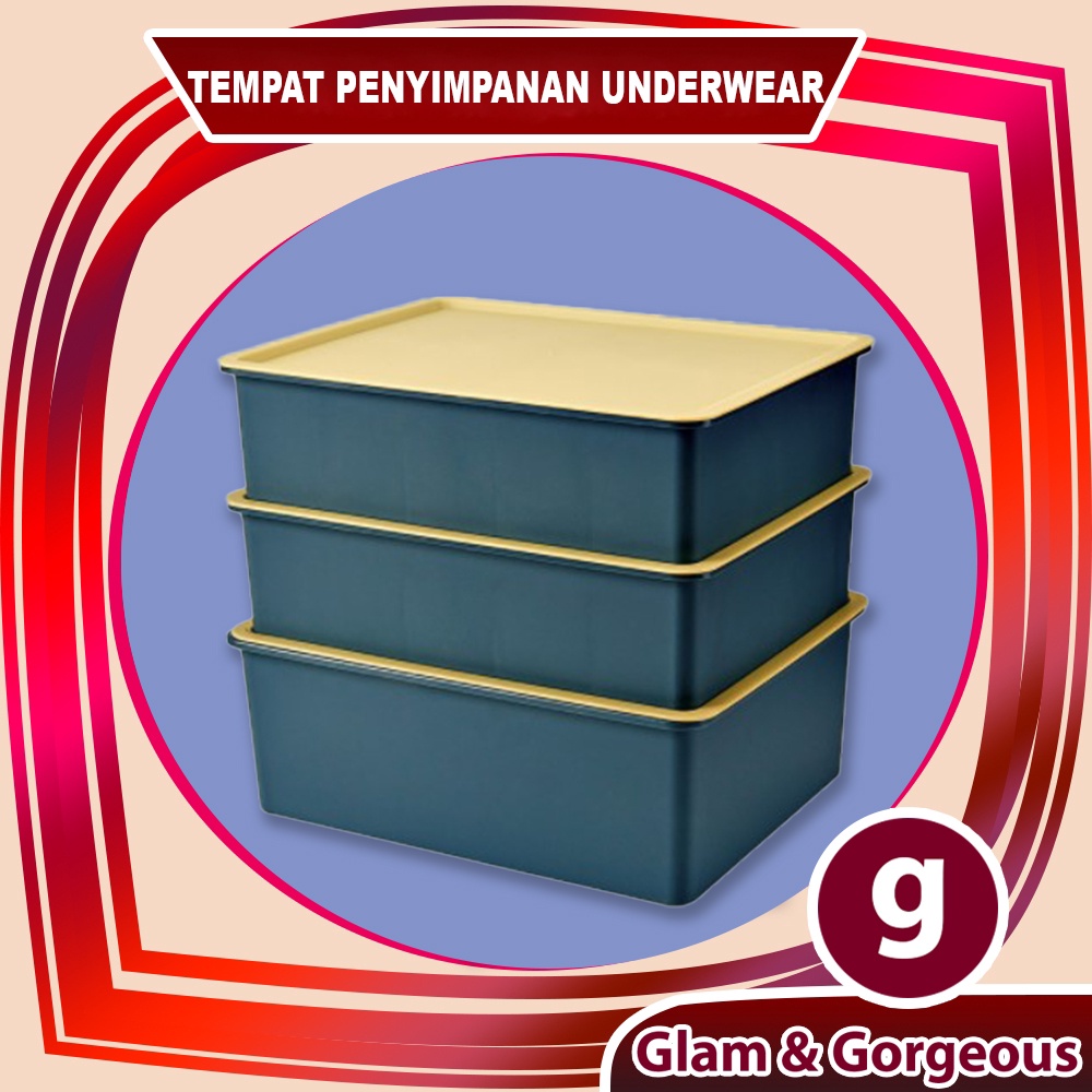 Kotak Penyimpanan Underwear Pakaian Serbaguna Plastik Tempat Kotak Organizer Storage Box - USB010