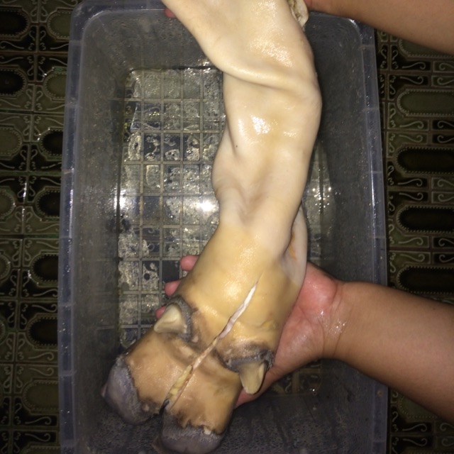 

Kikil Sapi Tanpa Tulang