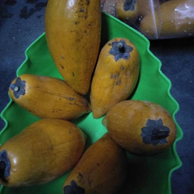 

Buah alkesa atau buah jigong khusus pengiriman gosend