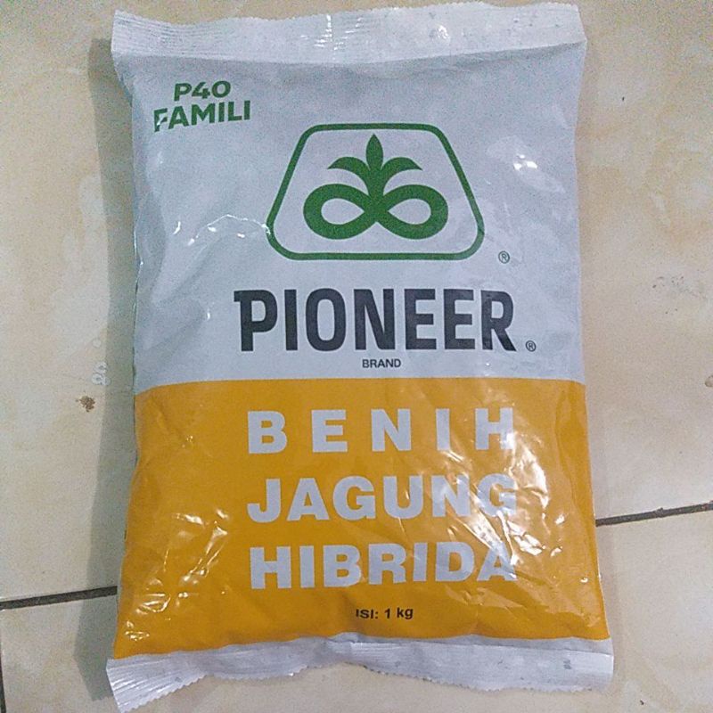Benih Jagung Hibrida P40 FAMILI