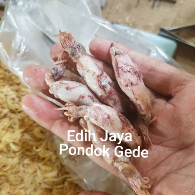 

Cumi Asin, Sontong Asin, Sotong Asin Netto 250 Gram