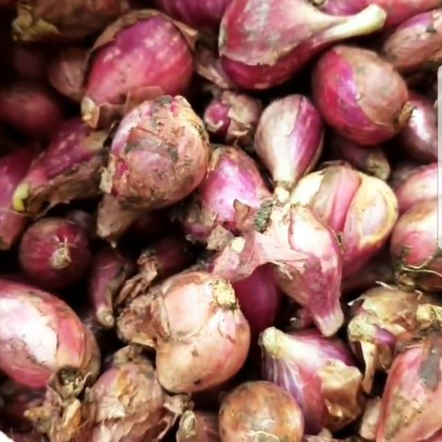 

Bawang Merah (1 kg)