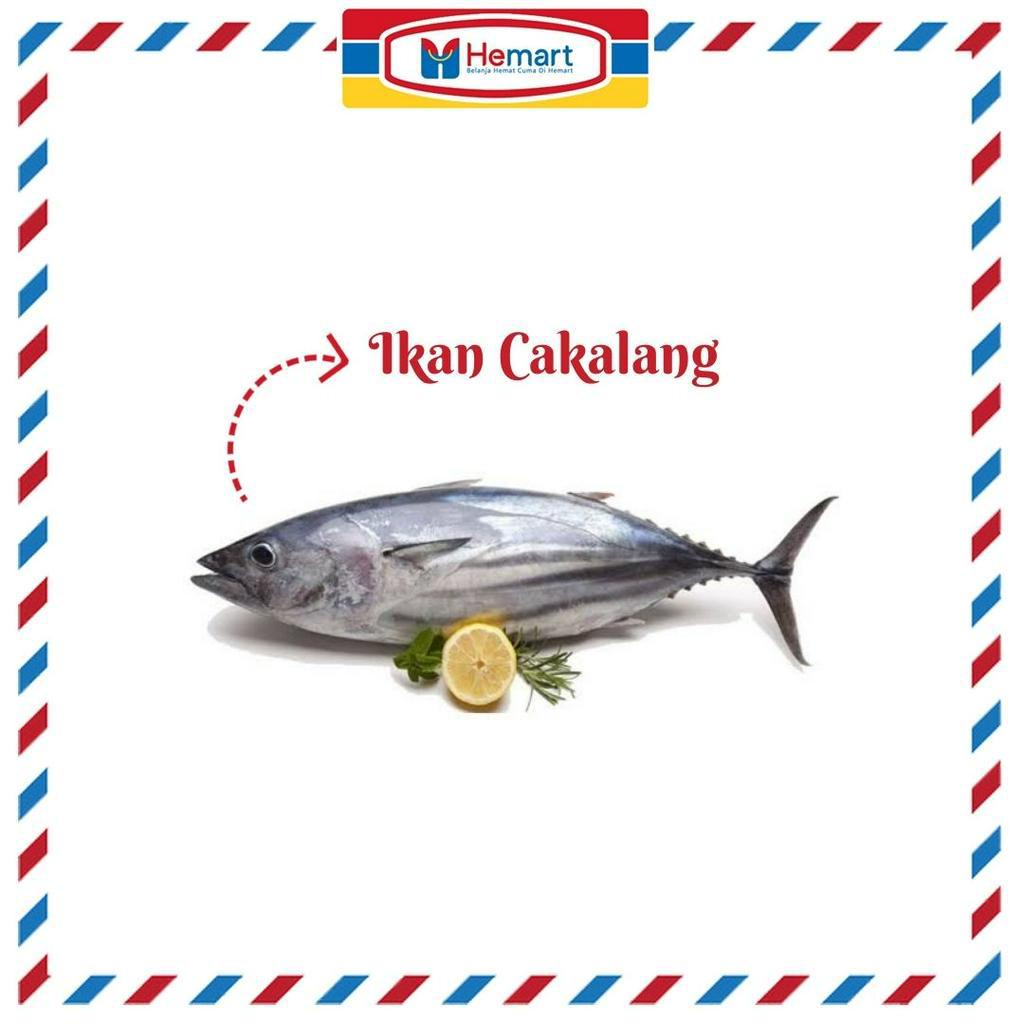 

PALING FRESH !!! IKAN CAKALANG 1,5KG / IKAN SEGAR