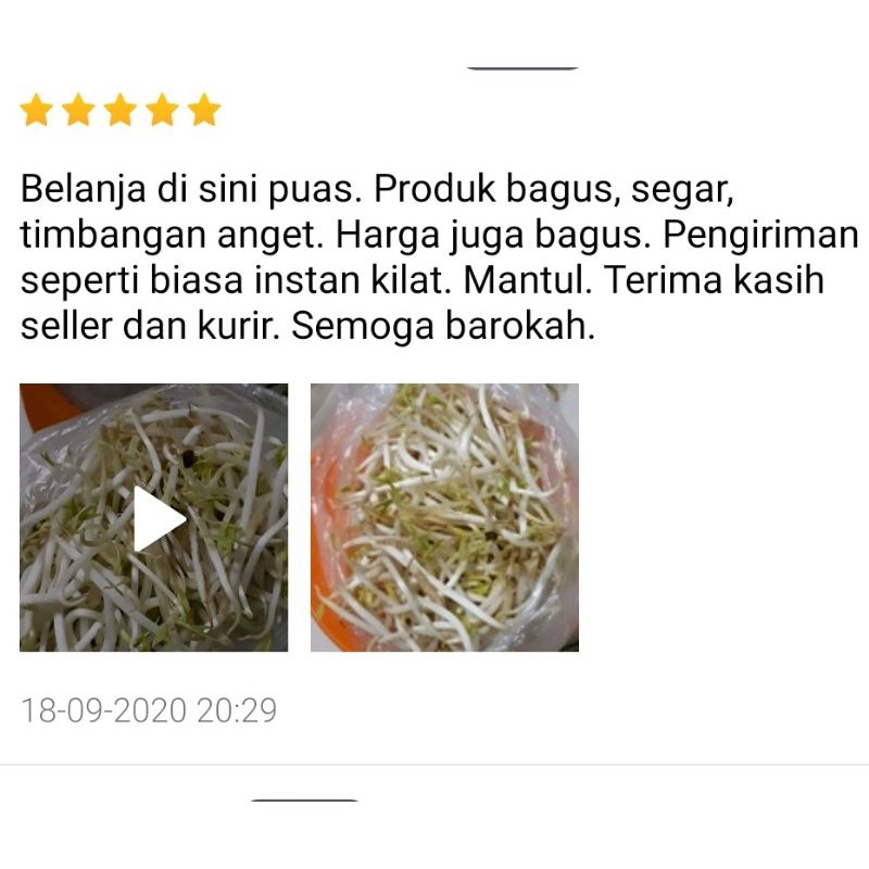 KIRIM INSTAN Toge Jepang Super 200gr