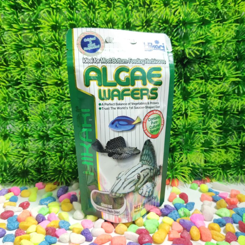 HIKARI Algae Wafers 82gr