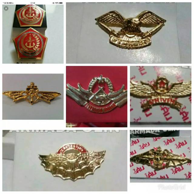 Brivet/wing militer