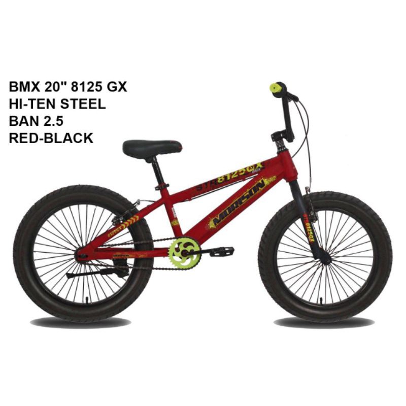 BMX 20 MORISON BAN 2.5
