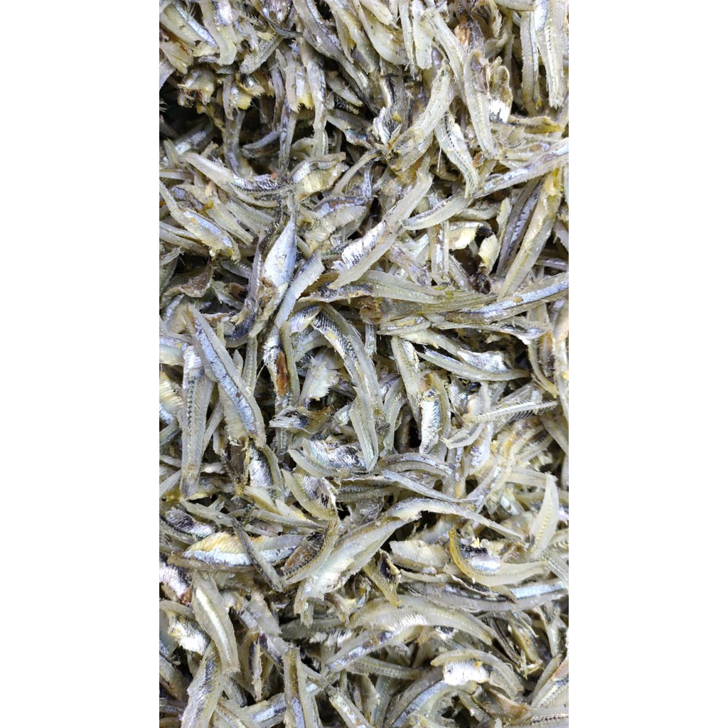 

Teri kopek belang super (500gram)