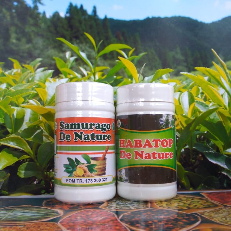 Obat Herbal Asam Urat Tinggi - Obat Asam Urat Herbal Super - Samurago Habatop De Nature