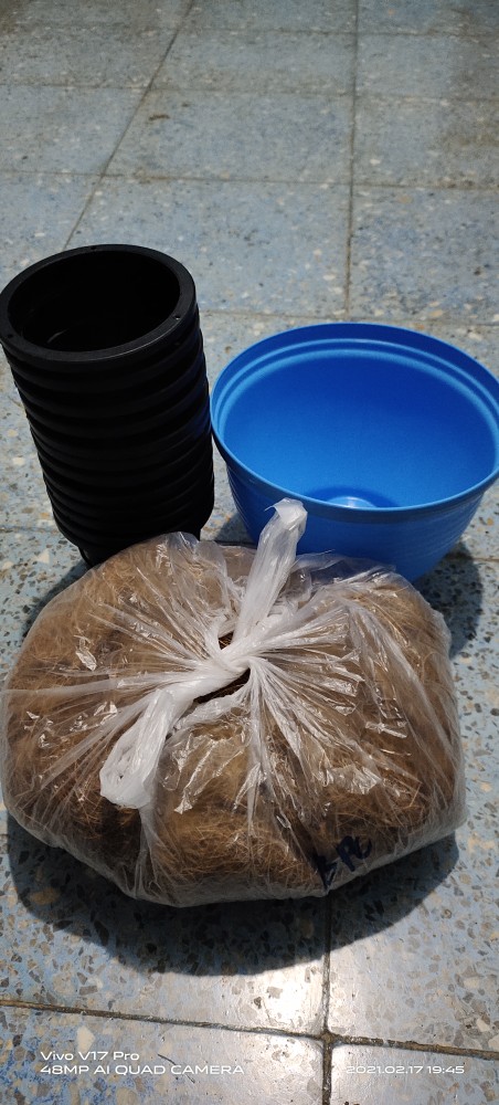 Pot Anggrek 10 Cm | Pot Hidroponik Tanaman Hias Dan Bunga