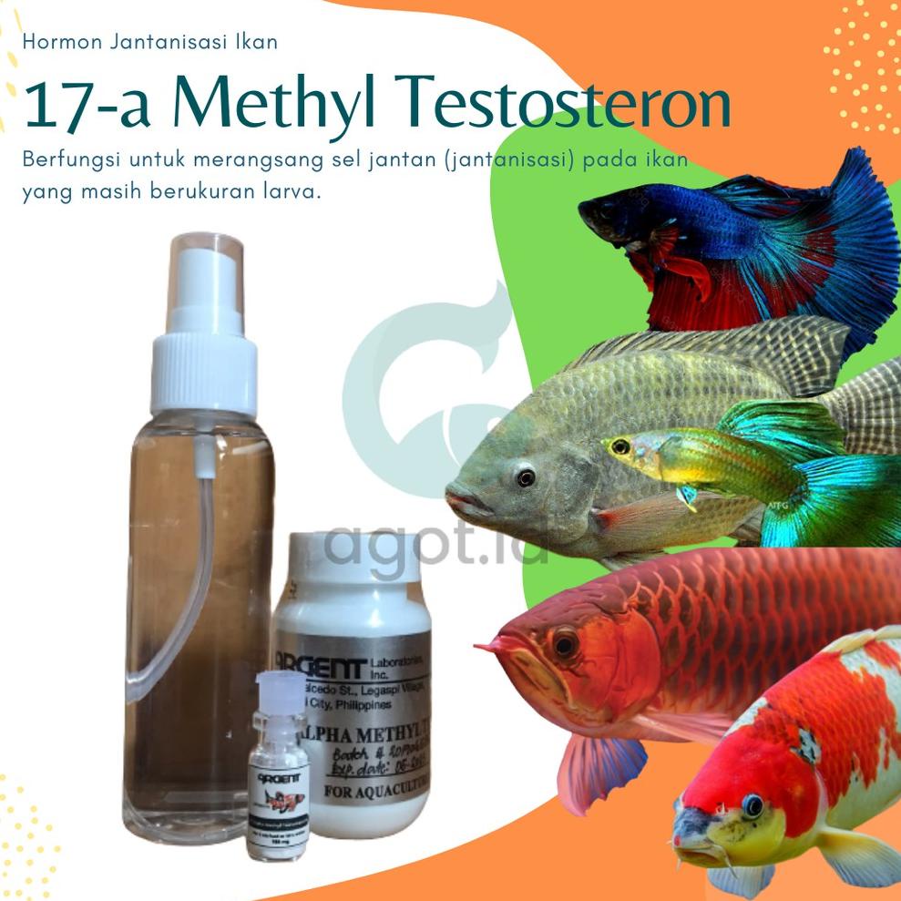 [PRODUK SDT8W] 17A metil testosteron hormon jantanisasi ikan 100mg / 17 A MT Testosteron J09