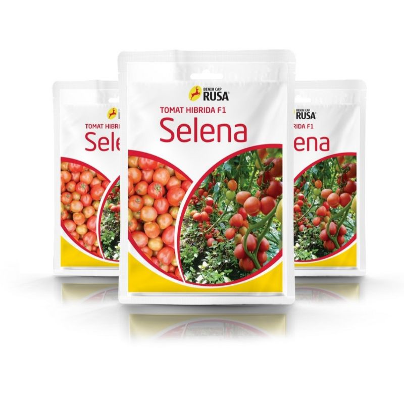 benih tomat selena f1 10 gr