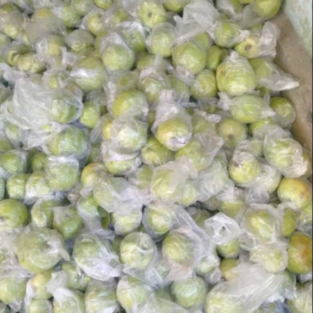 

JAMBU KRISTAL
