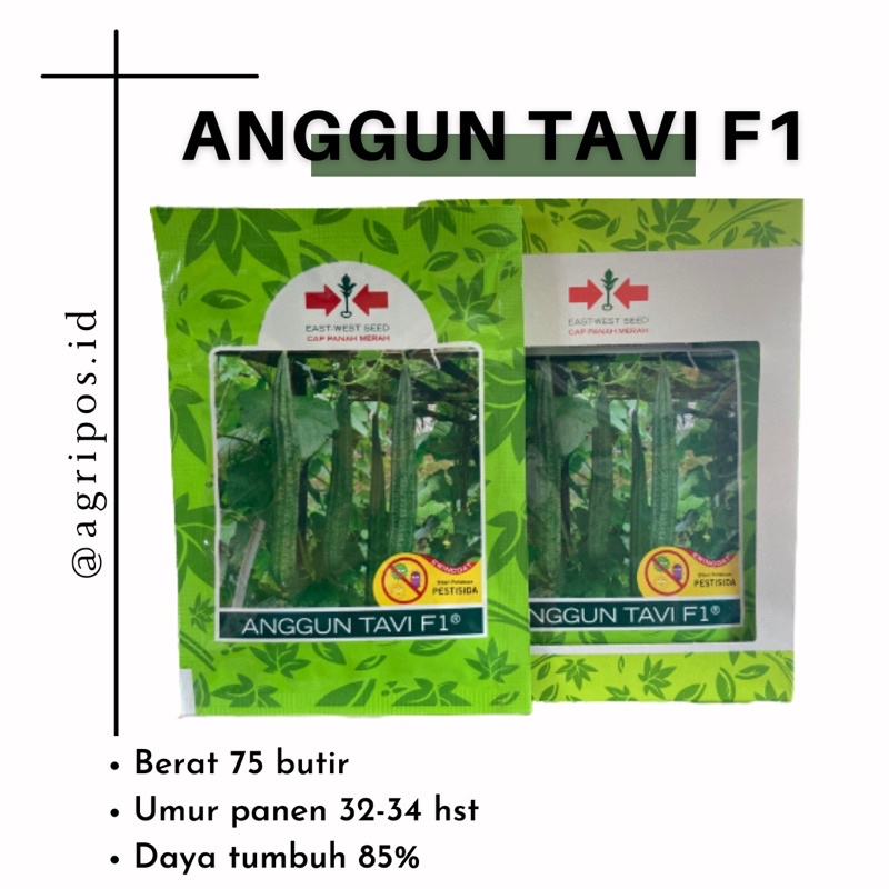 BENIH OYONG/ GAMBAS ANGGUN TAVI F1 CAP PANAH MERAH