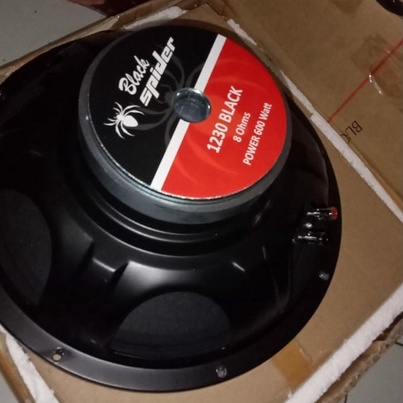 Speaker 12 Inch 12 In Full Range 600 Watt Black Spider