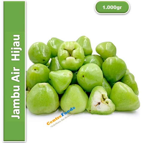 

Jambu Air Hijau - Jambu Air Apel Hijau | 1.000gr [ Harga Per KG ]