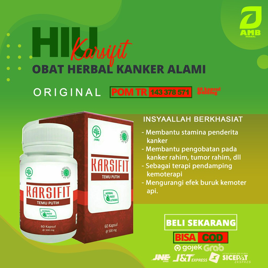 OBAT KANKER TUMOR RAHIM KEWANITAAN DAN MEMBANTU STAMINA PENDERITA KANKER 100% HERBAL ALAMI B6