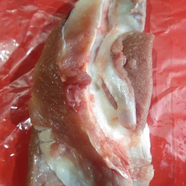 

Tulang muda(cikut) 1kg