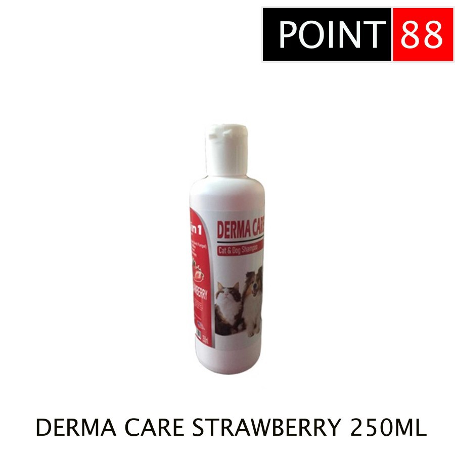 Shampoo DERMA CARE Strawberry 250ml Anti Jamur Kutu