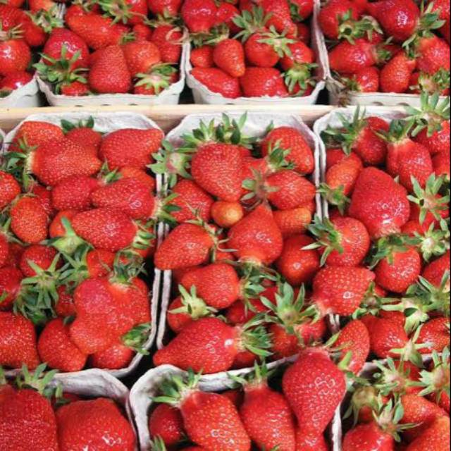 

BUAH STRAWBERRY / STROBERI LOKAL per pax
