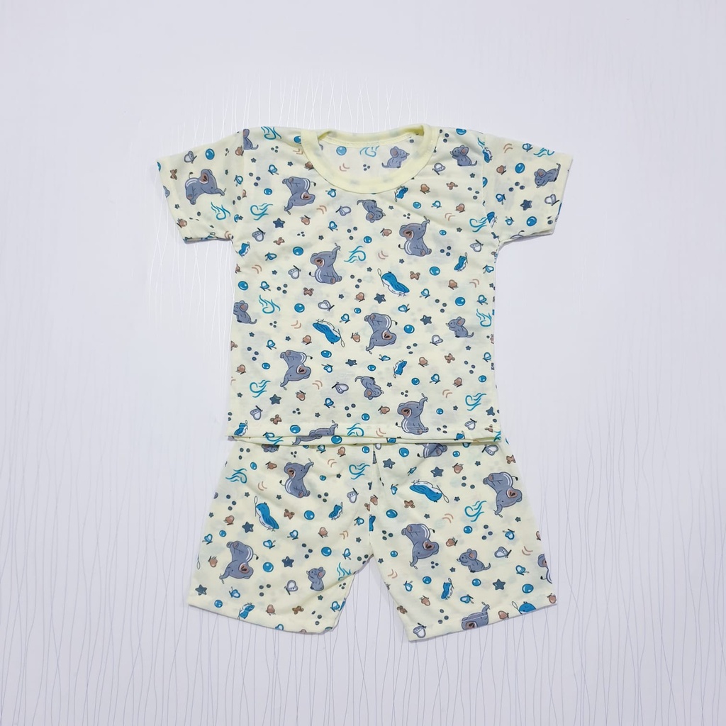 Setelan Anak Motif Gajah 0-12 Bulan Cyandclothing