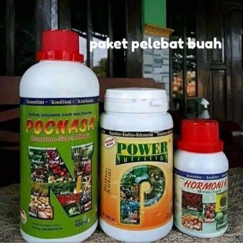 pupuk pelebat buah nasa