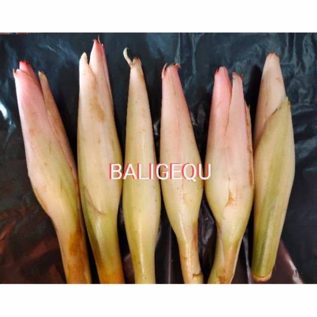 

uuttudd Kecombrang / Kincung 500 Gram Fsfs201