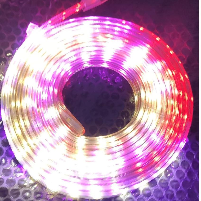 model baru vre0h lampu led strip selang rgb 2835 3528 smd rope light 10 meter warna warni led strip 